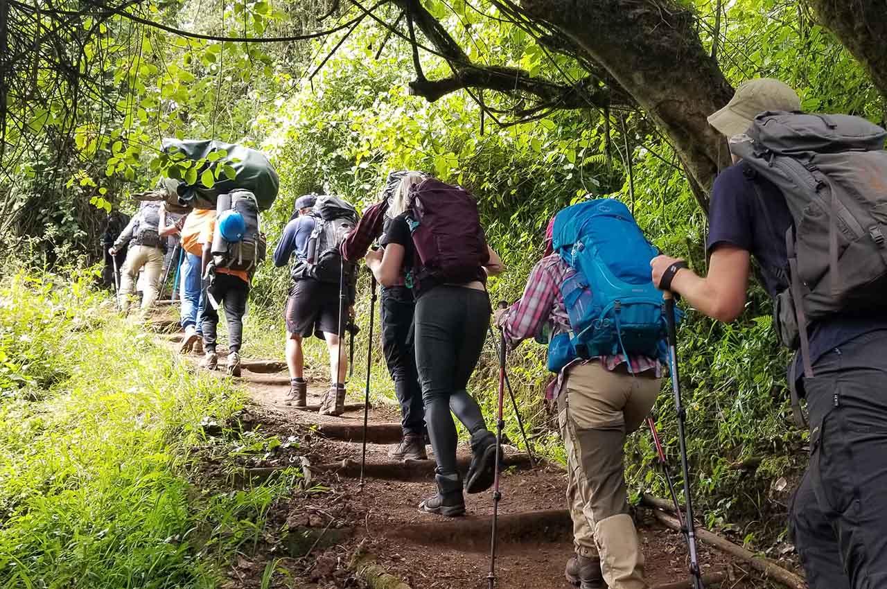 Kilimanjaro Rongai Route landscape during the best time to climb in 6 day