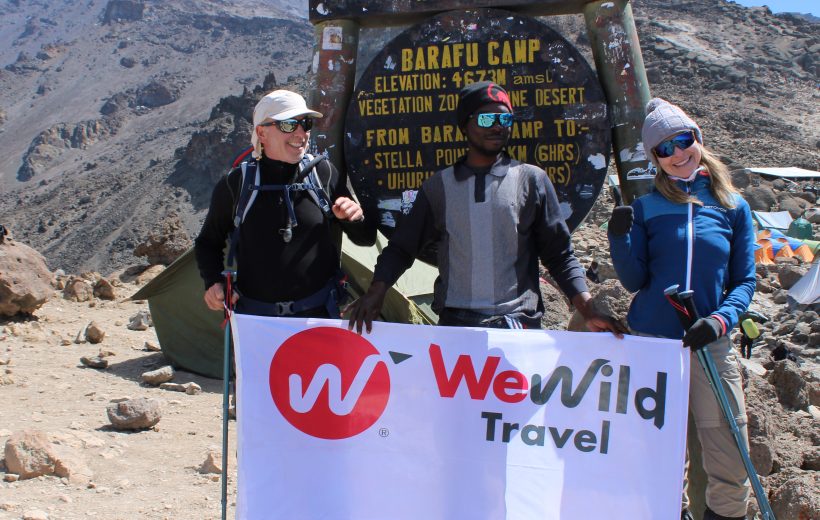 Lemosho Route 8 Days Kilimanjaro Itinerary