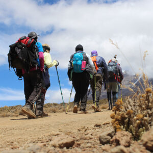Kilimanjaro Rongai Route 7 Days