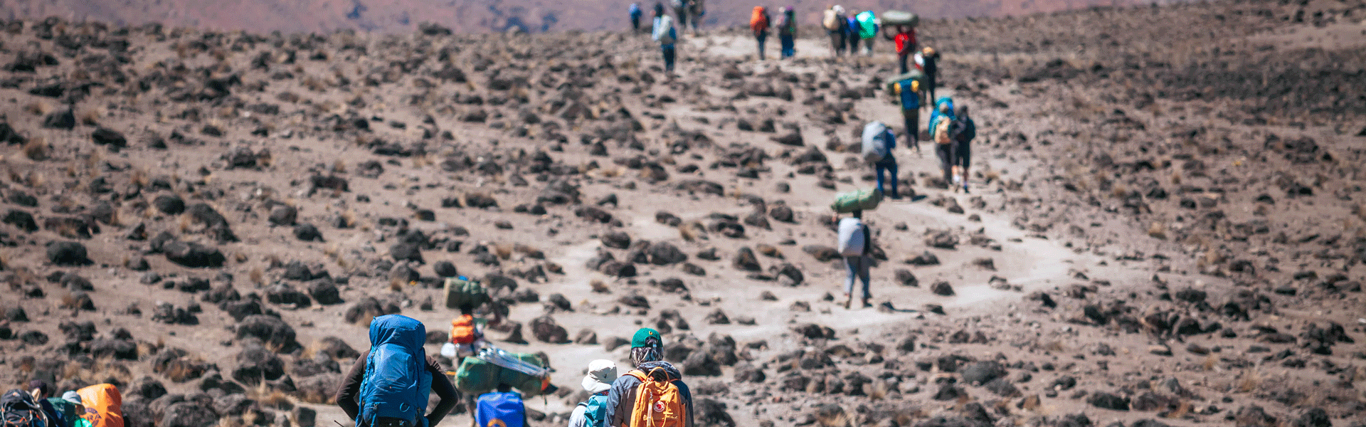 Trekkers walking along the Marangu Route on Mount Kilimanjaro, passing through forest and mountain scenery toward the next hut.