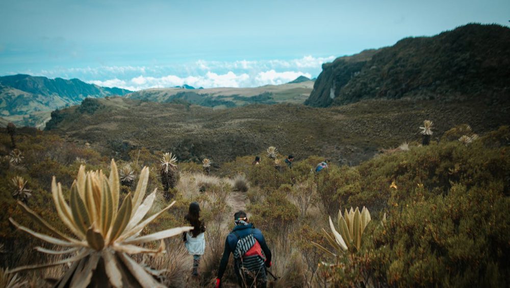 Climber trekking Mount Kilimanjaro on second ascent journey