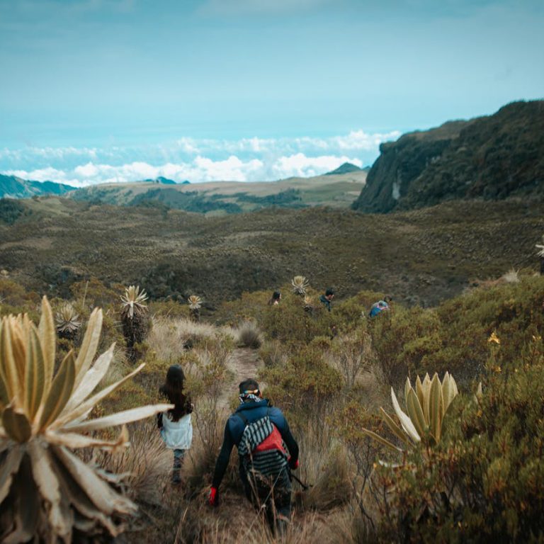 Climber trekking Mount Kilimanjaro on second ascent journey