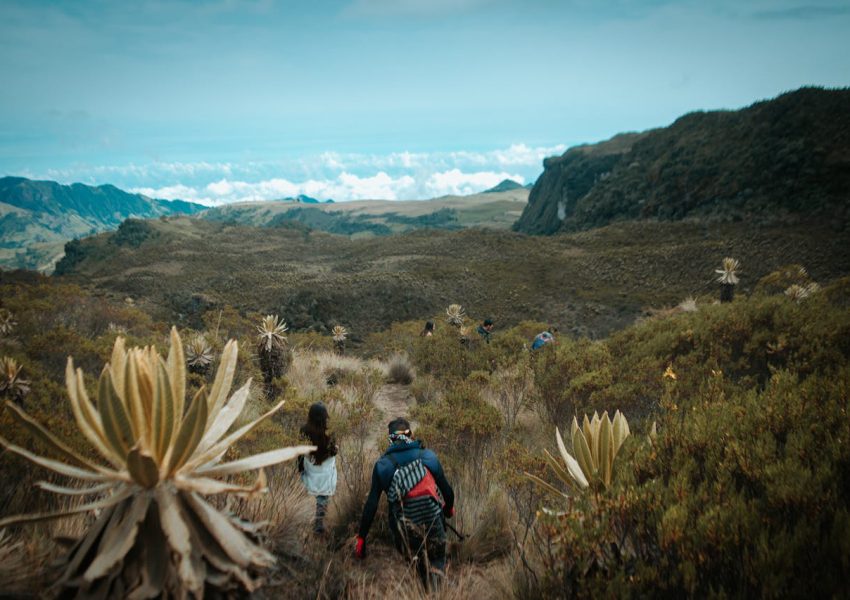 Climber trekking Mount Kilimanjaro on second ascent journey