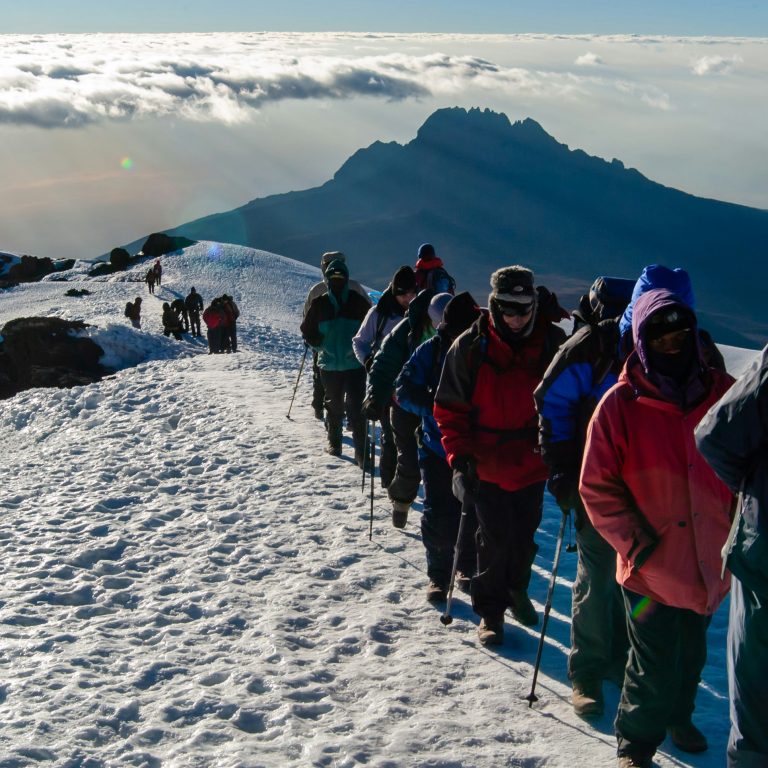 Trekkers climbing Mount Kilimanjaro in Kilimanjaro National Park