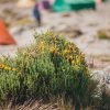 What I Wish I Knew Before Climbing Kilimanjaro trekking journey showing mountain challenges and altitude experience