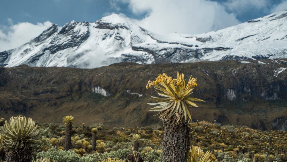 Climber standing at Uhuru Peak on Mount Kilimanjaro summit
