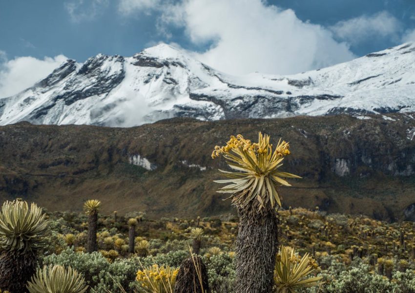 Climber standing at Uhuru Peak on Mount Kilimanjaro summit