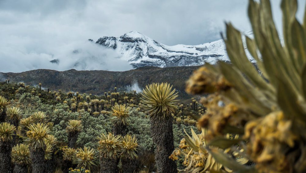 Best Kilimanjaro route for beginners showing Lemosho and Machame trekking paths