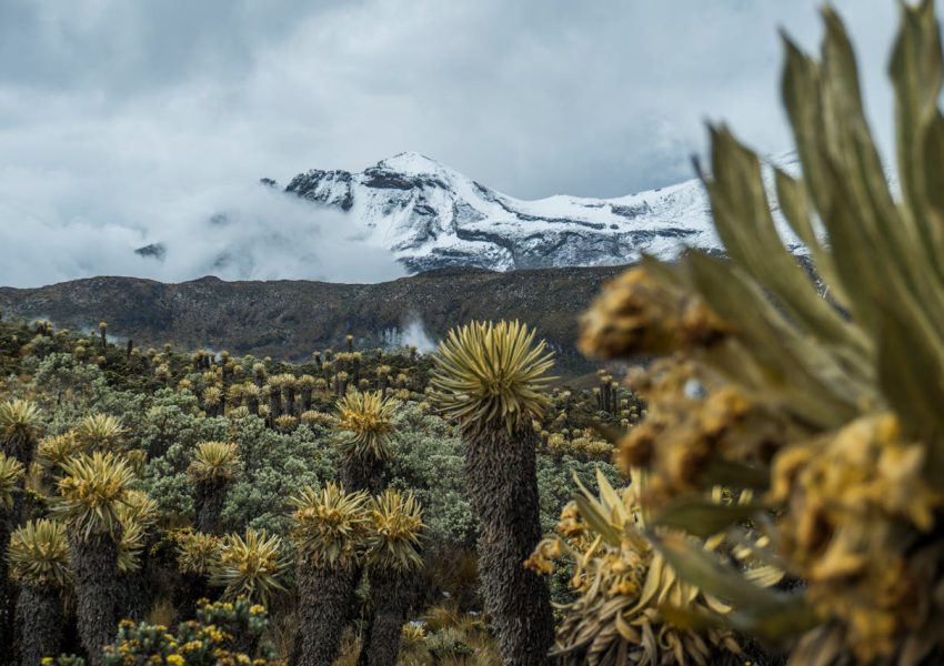 Best Kilimanjaro route for beginners showing Lemosho and Machame trekking paths