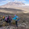 Beginners climbing Mount Kilimanjaro on a hiking trail during summit trek