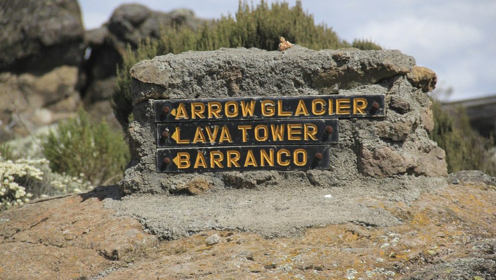 Lemosho Route Kilimanjaro trekking trail through forest, moorland, and alpine desert toward summit
