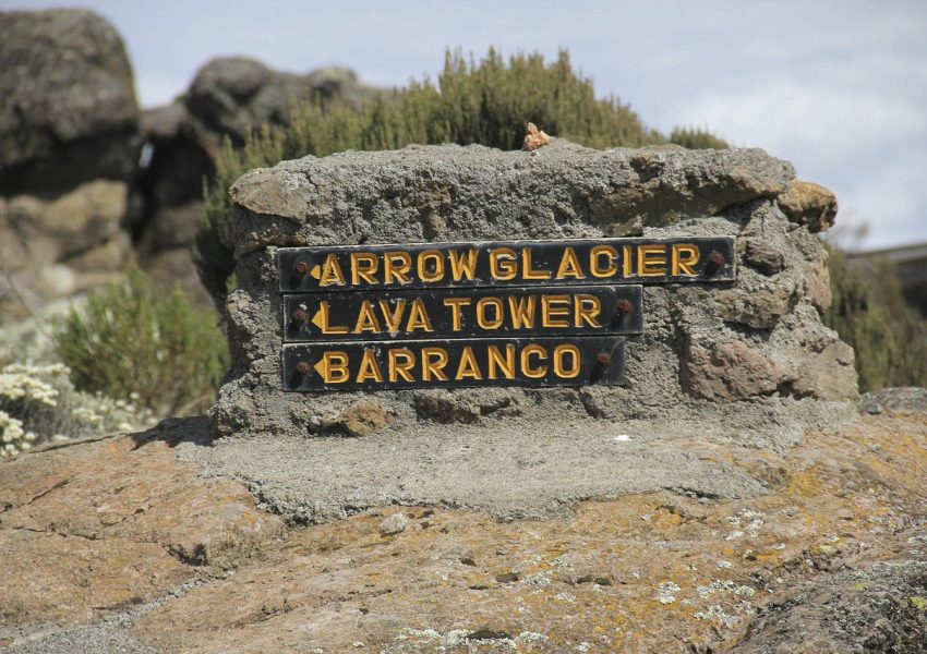 Lemosho Route Kilimanjaro trekking trail through forest, moorland, and alpine desert toward summit