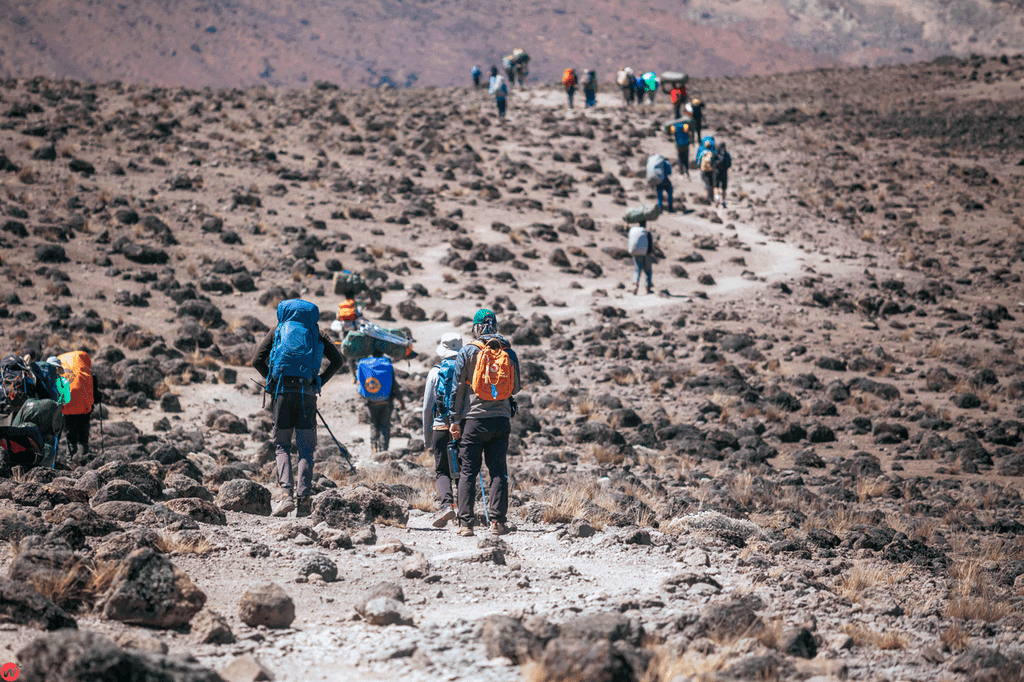 Kilimanjaro route map showing trekking paths toward Uhuru Peak on Mount Kilimanjaro