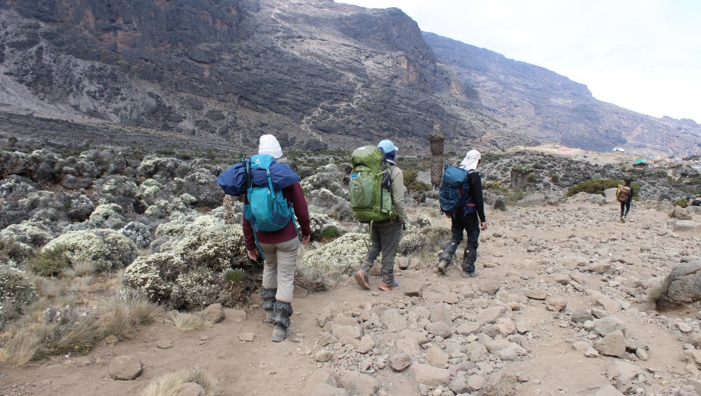 Lemosho Route hikers trekking through scenic mountain landscapes toward Mount Kilimanjaro summit in Tanzania