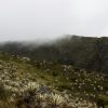 Machame Route Kilimanjaro trekking trail through rainforest, moorland, and alpine desert landscapes
