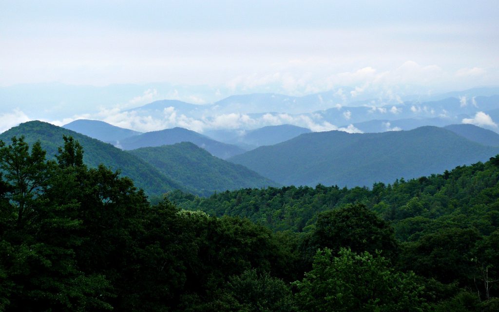 Blue Ridge Mountains in the eastern United States with mist-covered rolling ridges and dense forest landscapes.
