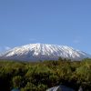 Highest Mountains in Africa featuring Mount Kilimanjaro, Mount Kenya, Mount Stanley, and other tallest peaks ranked by elevation.