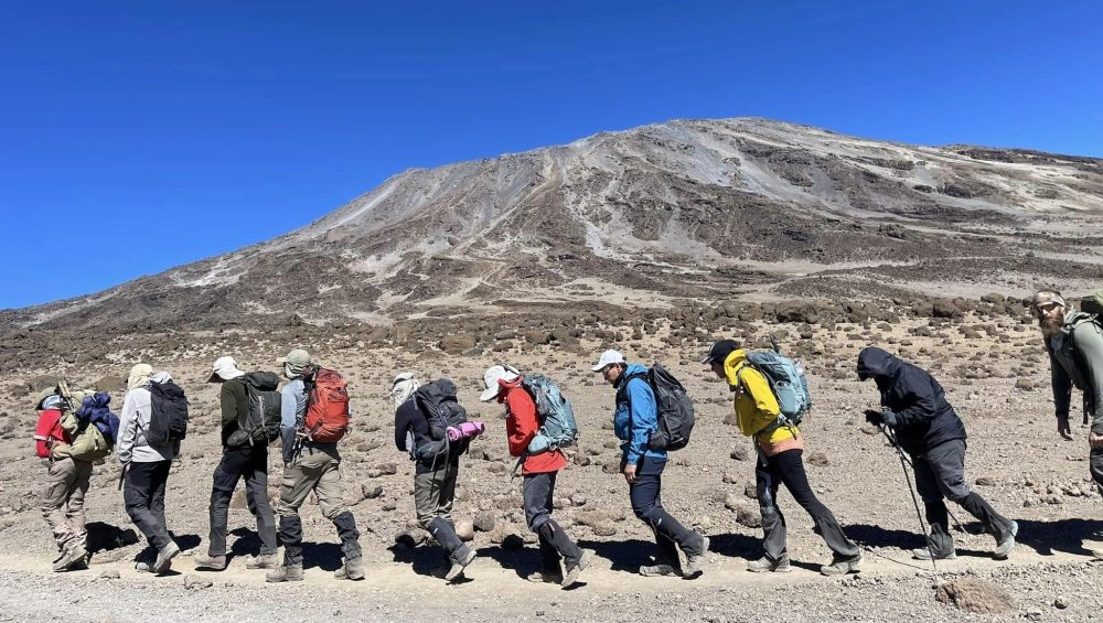 Hikers celebrating after climbing Mount Kilimanjaro summit, showing the number of adventurers who have reached Africa’s highest peak.