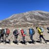 Hikers celebrating after climbing Mount Kilimanjaro summit, showing the number of adventurers who have reached Africa’s highest peak.