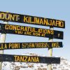 Climbers reaching Stella Point on Mount Kilimanjaro crater rim during summit night near Uhuru Peak