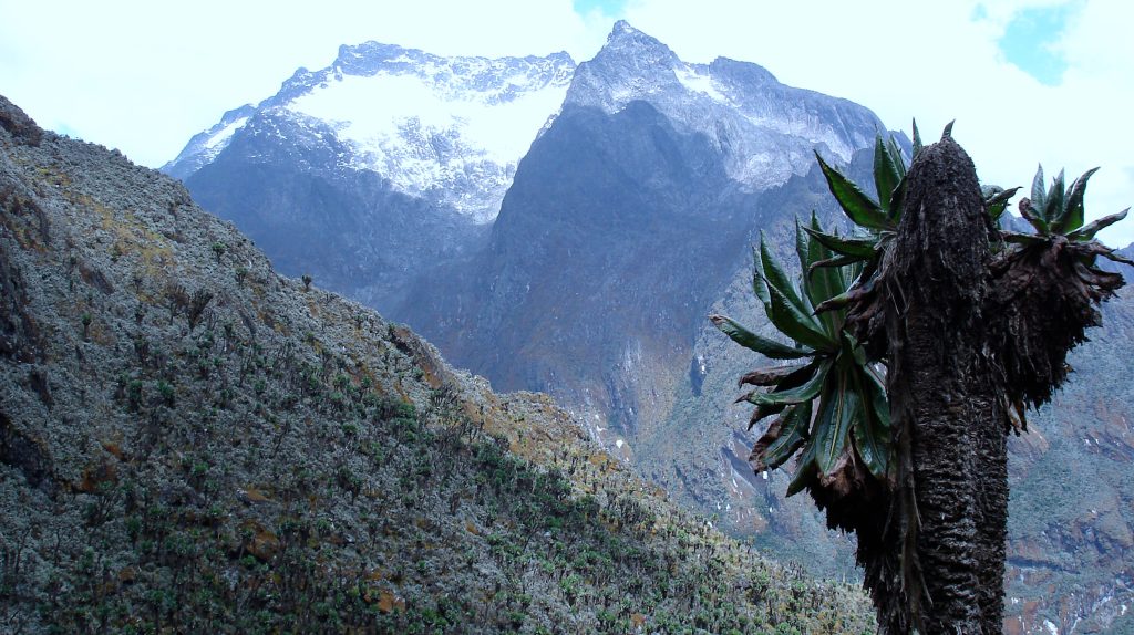 Mount Speke in the Rwenzori Mountains featuring rugged peaks, alpine vegetation, and high-altitude landscape in Uganda.
