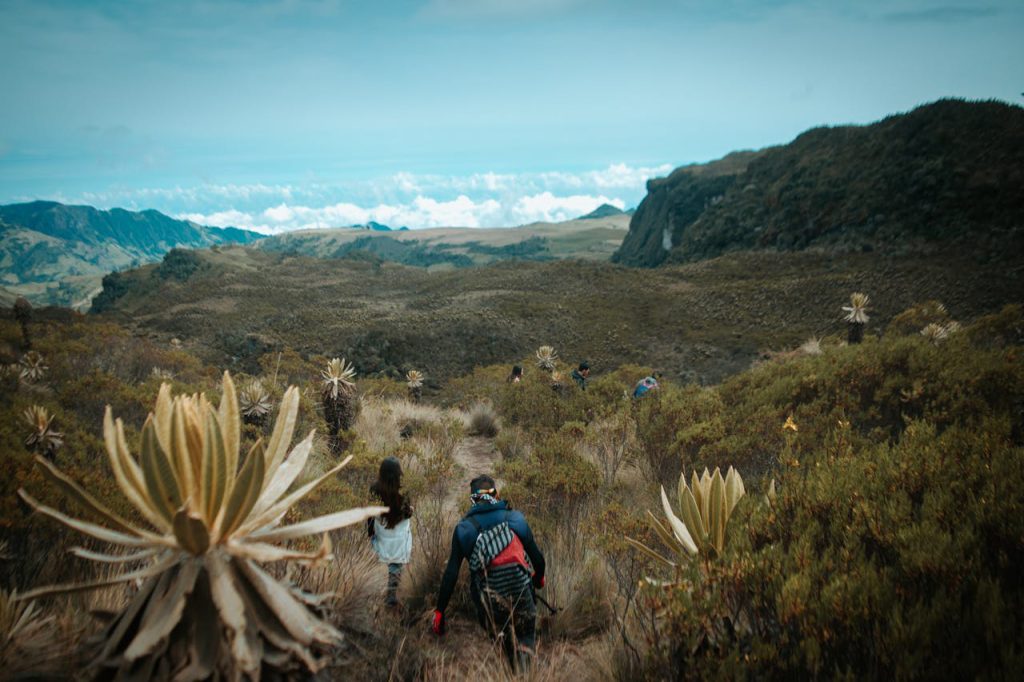 Best time to climb Marangu Route on Kilimanjaro during clear dry season conditions with mountain views.