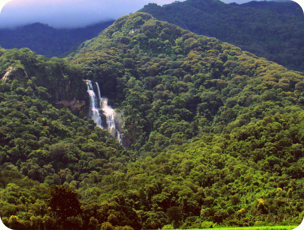 Udzungwa Mountains covered in lush rainforest with scenic hiking trails, waterfalls, and diverse wildlife in Tanzania.