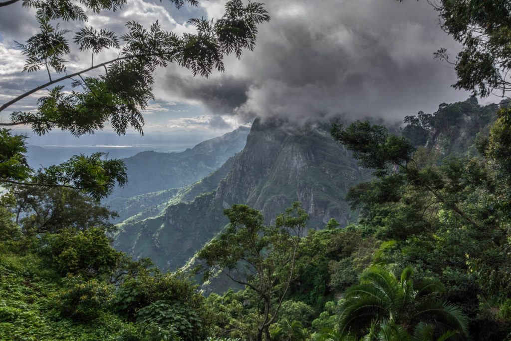 Usambara Mountains featuring lush green hills, scenic hiking trails, traditional villages, and breathtaking valley views.