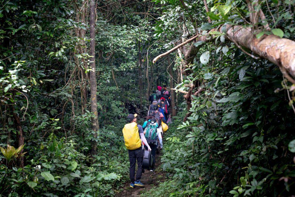 Climbers ascending Mount Kilimanjaro during dry season with clear skies and stable trekking conditions.