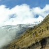 Hikers walking through lush rainforest on Marangu Route Kilimanjaro near Mandara Hut