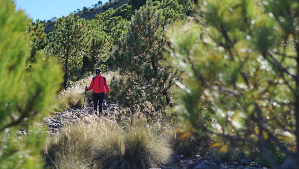 Woman climbing Mount Kilimanjaro during a summit ascent, following a rugged trail toward Africa's highest peak.