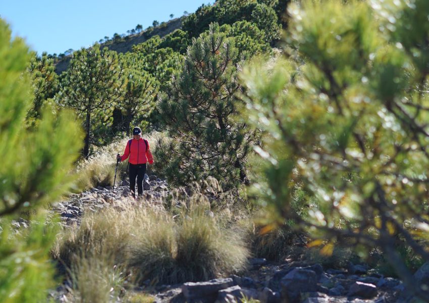 Woman climbing Mount Kilimanjaro during a summit ascent, following a rugged trail toward Africa's highest peak.