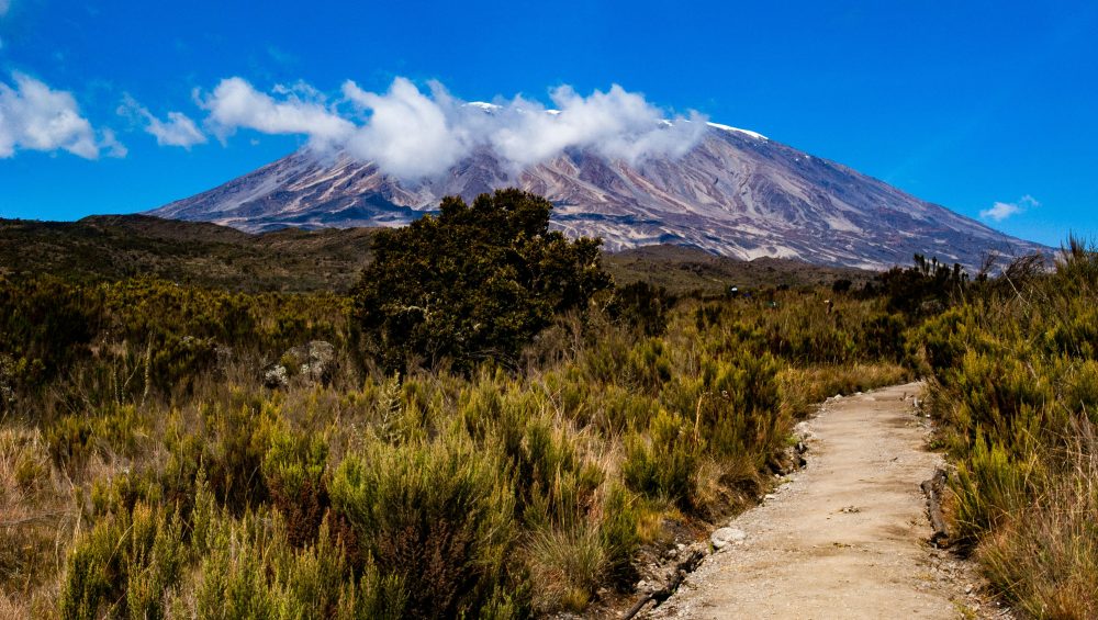 Hikers trekking along the Northern Circuit Route with mountain views, open landscapes, and clear skies on Kilimanjaro.