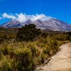 Hikers trekking along the Northern Circuit Route with mountain views, open landscapes, and clear skies on Kilimanjaro.