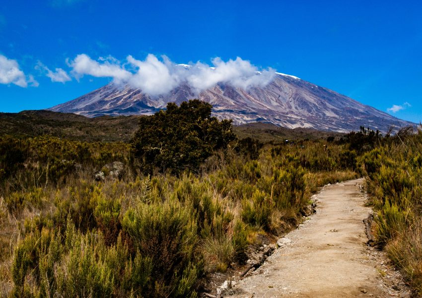 Hikers trekking along the Northern Circuit Route with mountain views, open landscapes, and clear skies on Kilimanjaro.