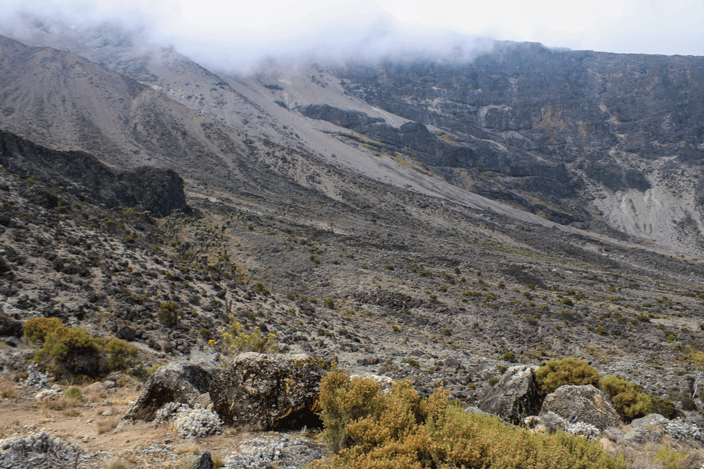 Scenic Marangu Route landscape on Mount Kilimanjaro with mountain views and alpine vegetation.
