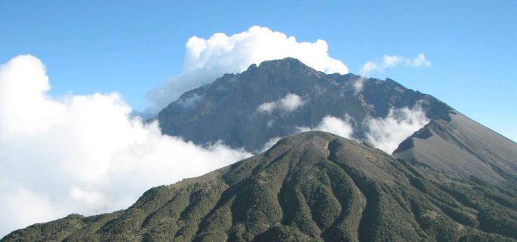 Mount Meru viewed from Arusha National Park with forested slopes and volcanic summit.
