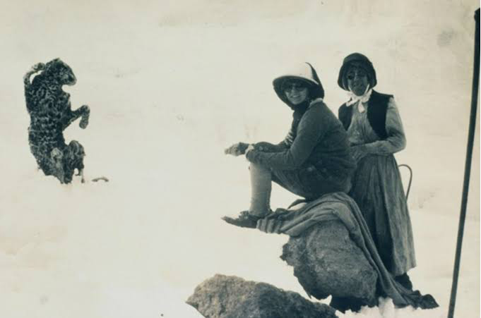 Frozen leopard remains on Mount Kilimanjaro near the summit showing rare high-altitude wildlife discovery