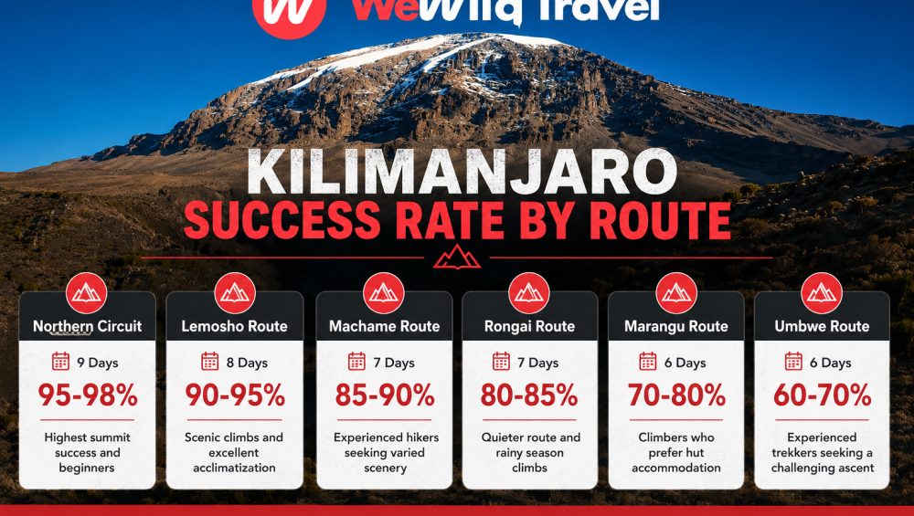 Infographic showing Kilimanjaro route success rates from Umbwe to Northern Circuit with summit percentages.