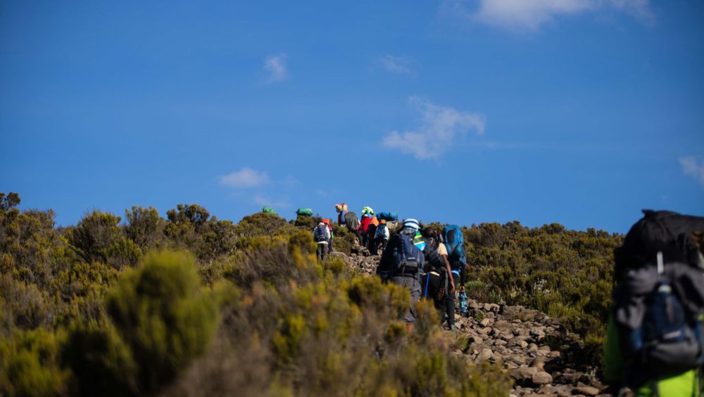 Kilimanjaro private climb with trekkers hiking toward Mount Kilimanjaro summit with local guides and mountain support team.