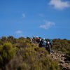 Kilimanjaro private climb with trekkers hiking toward Mount Kilimanjaro summit with local guides and mountain support team.