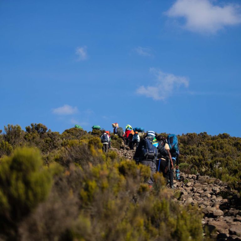 Kilimanjaro private climb with trekkers hiking toward Mount Kilimanjaro summit with local guides and mountain support team.