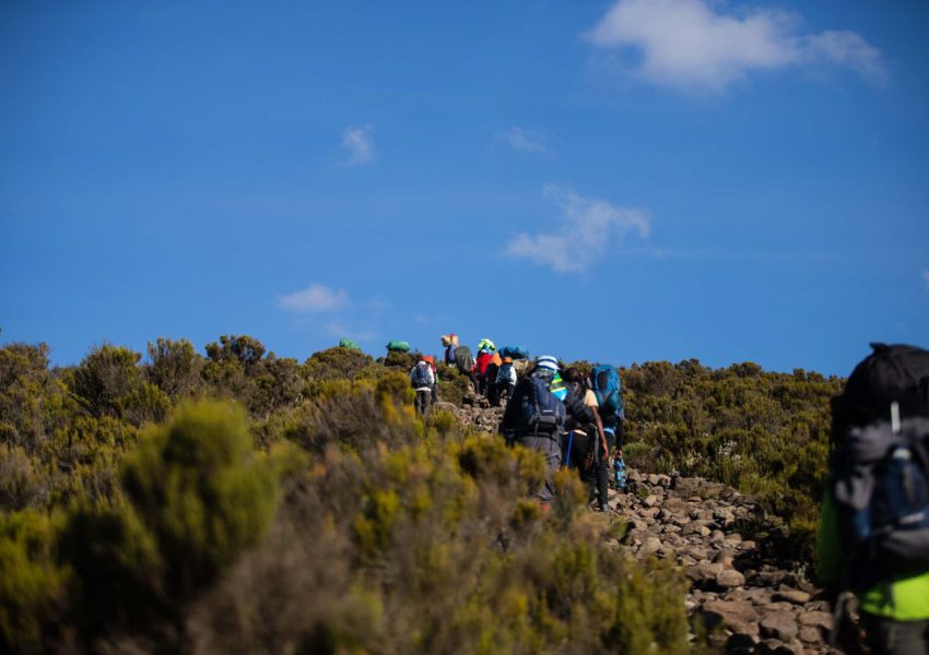 Kilimanjaro private climb with trekkers hiking toward Mount Kilimanjaro summit with local guides and mountain support team.
