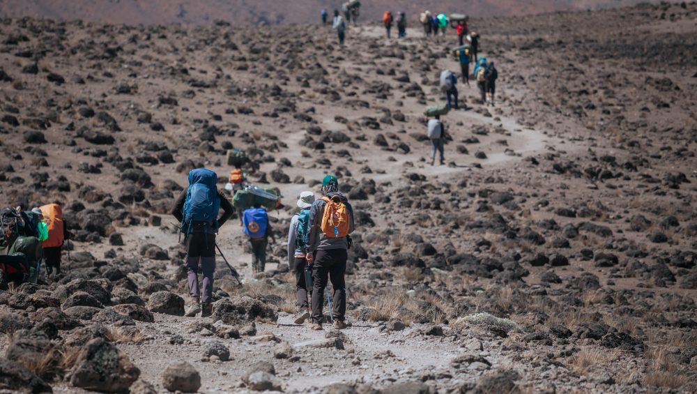 Climbers compare Kilimanjaro routes to choose the best trekking experience and summit success rates.