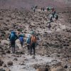 Climbers compare Kilimanjaro routes to choose the best trekking experience and summit success rates.