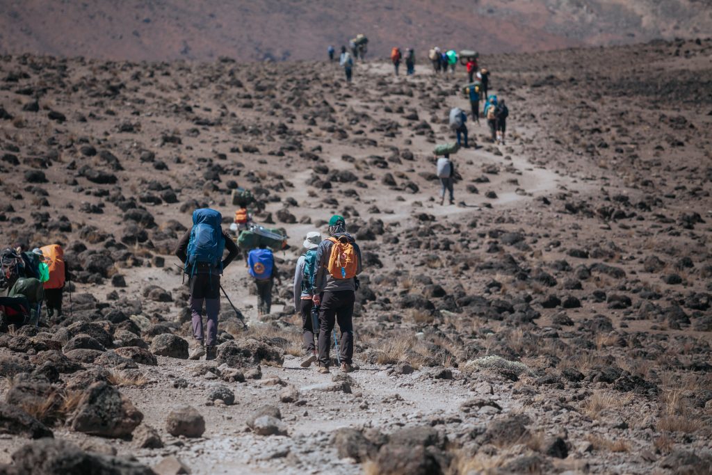Climbers compare Kilimanjaro routes to choose the best trekking experience and summit success rates.