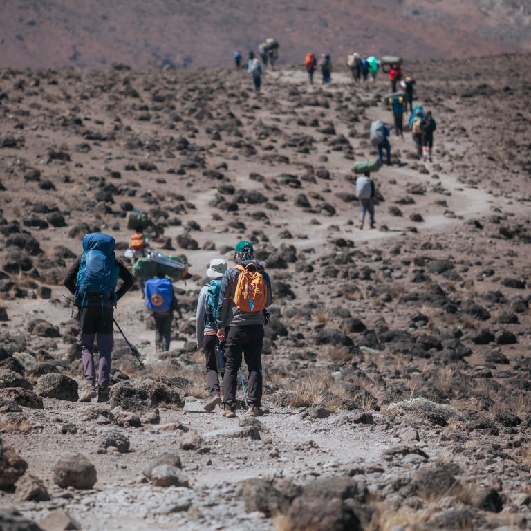 Climbers compare Kilimanjaro routes to choose the best trekking experience and summit success rates.