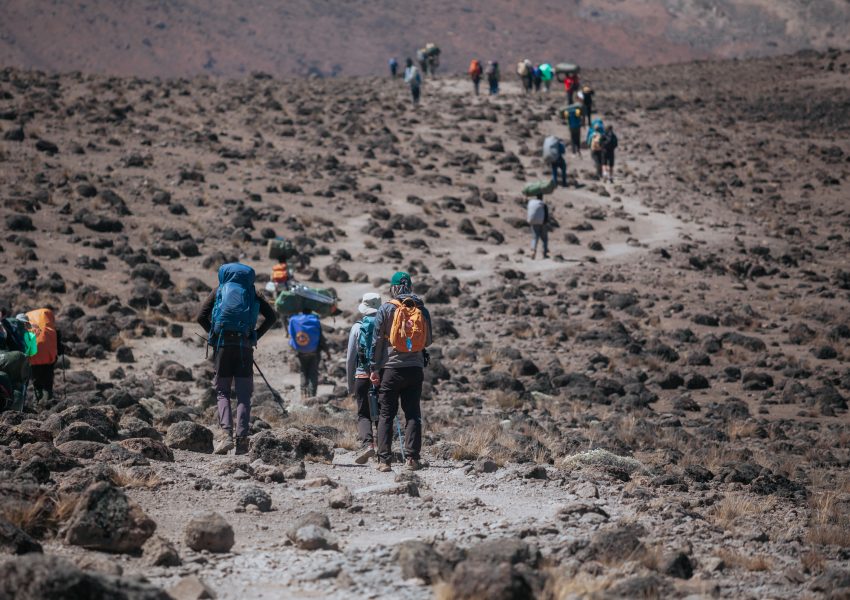 Climbers compare Kilimanjaro routes to choose the best trekking experience and summit success rates.