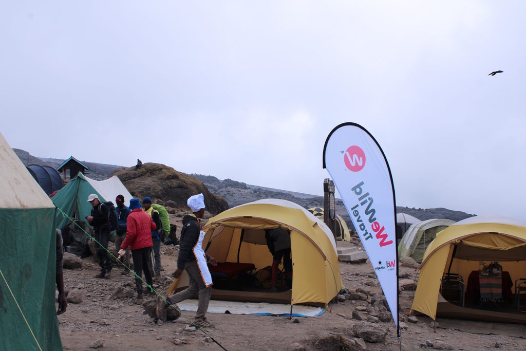 Best Kilimanjaro tour operators helping climbers plan safe and memorable Mount Kilimanjaro trekking adventures.