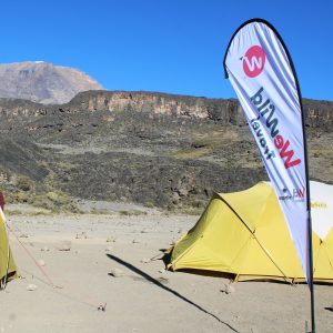 Lemosho Route 9 Day Itinerary Prices and Dates